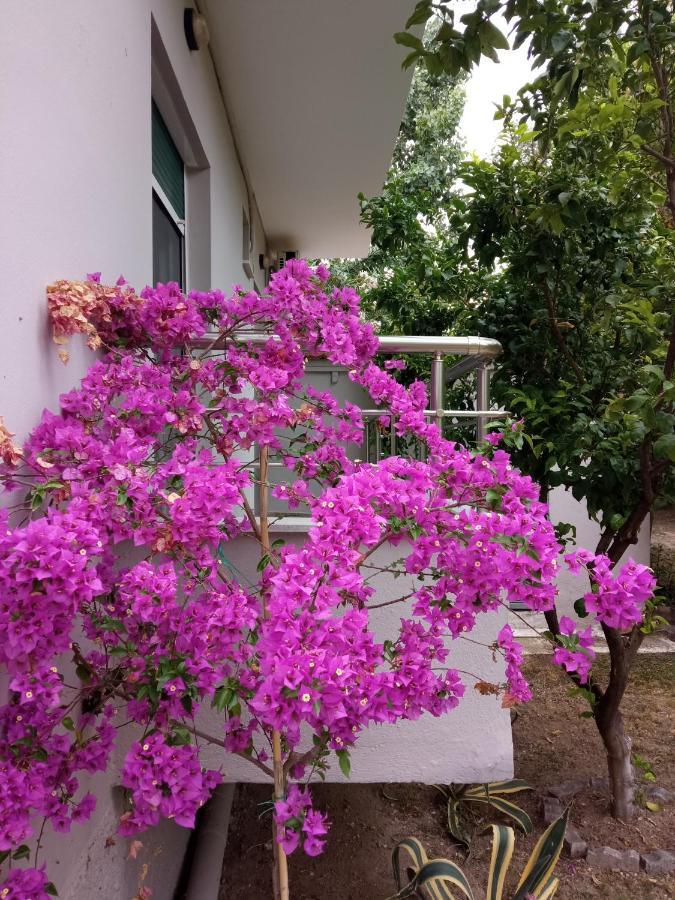 Sofia'S Garden Apartment Nea Peramos  Luaran gambar