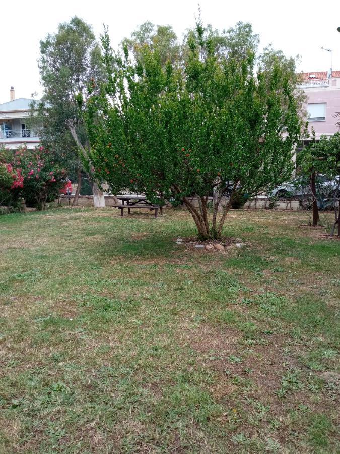 Sofia'S Garden Apartment Nea Peramos  Luaran gambar